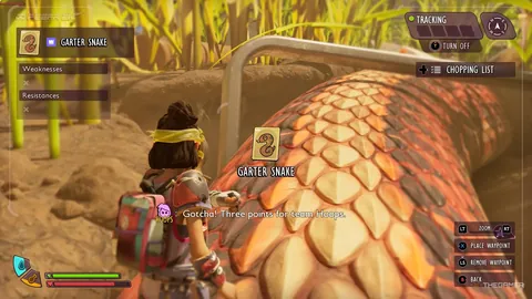 2026FIFA世界盃完整攻略 资讯 120341 kgt